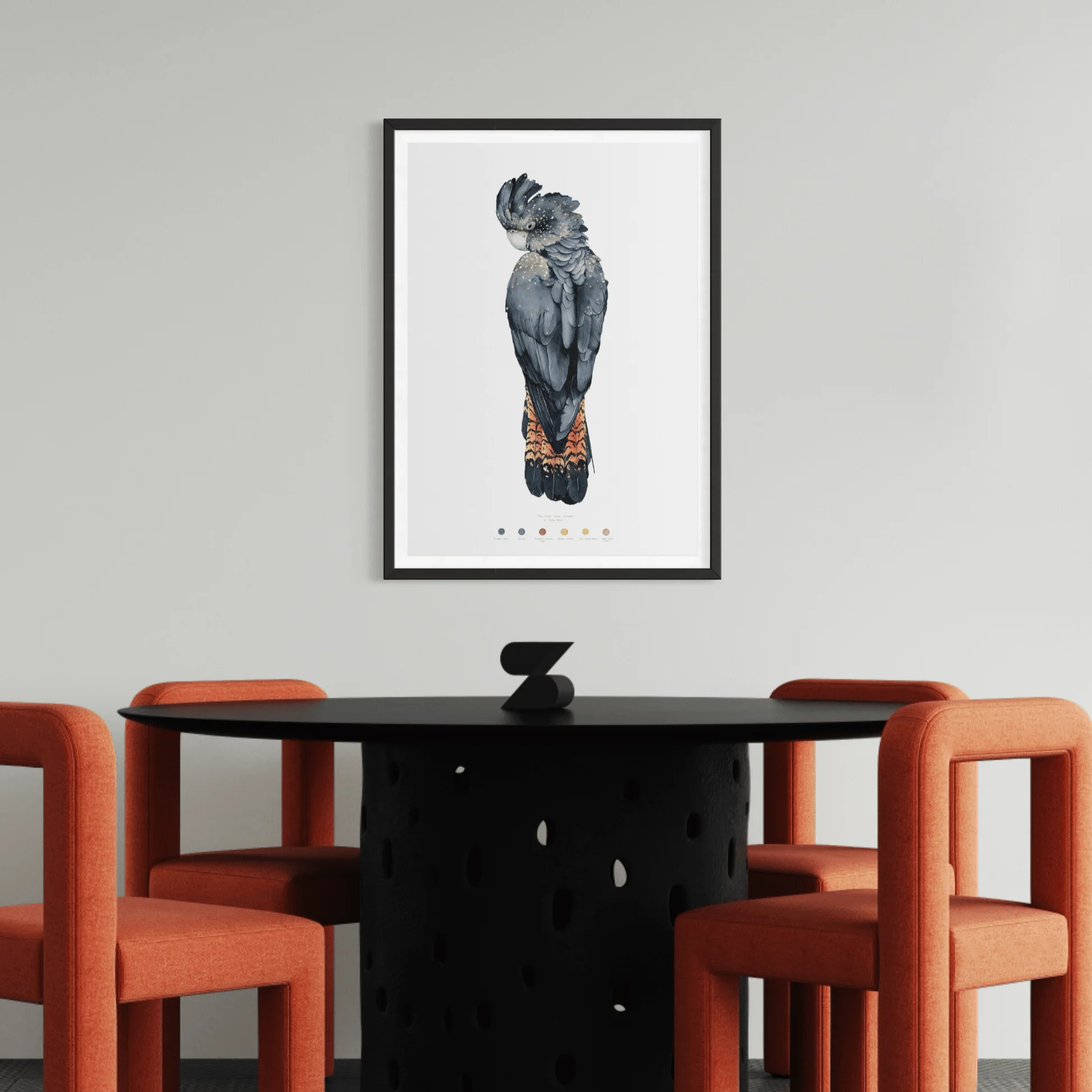 Red-tailed black cockatoo (female) - Image 3