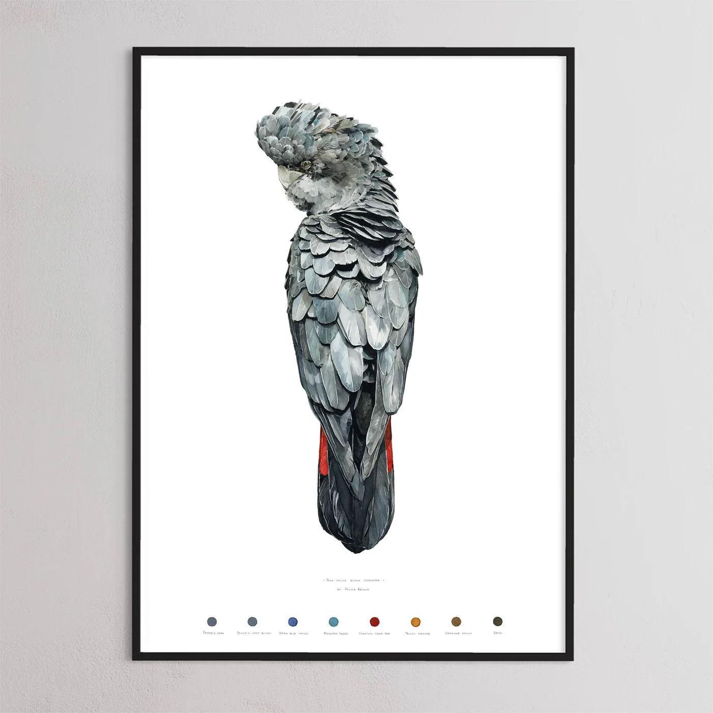 Limited edition prints